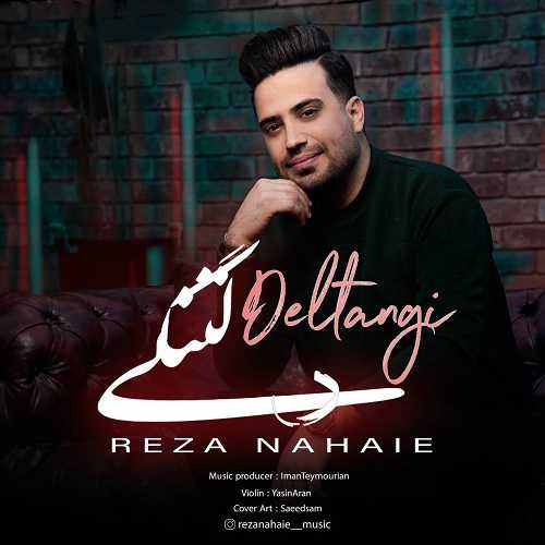 دانلود آهنگ رضا نهایی   به نام دلتنگی 