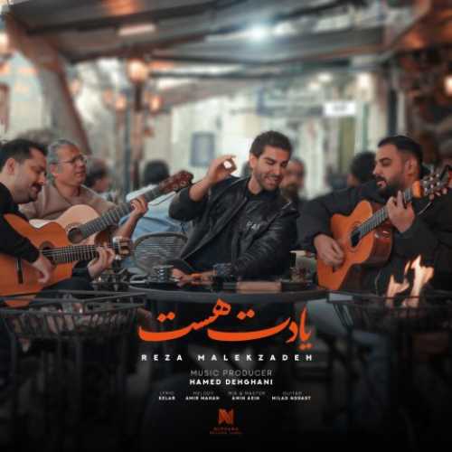 دانلود آهنگ رضا ملک زاده  به نام یادت هست 