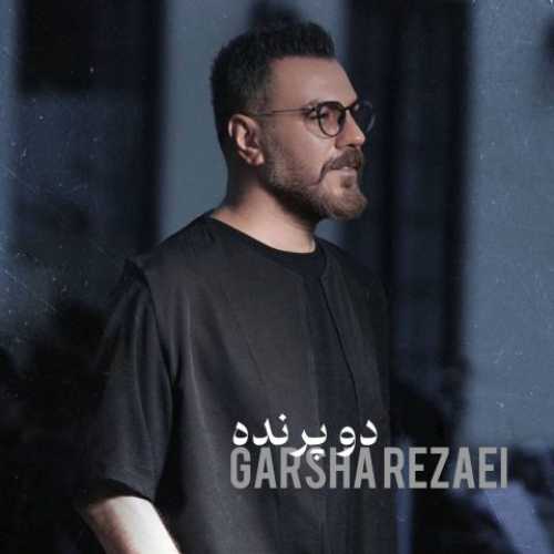 دانلود آهنگ گرشا رضایی  به نام دو پرنده 